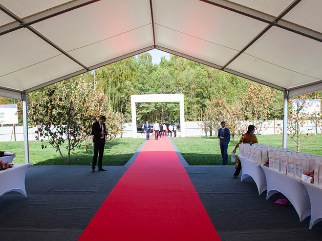 Двускатный шатер 10х20