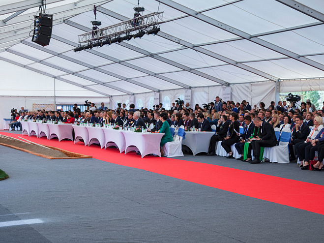 Двускатный шатер 20х50