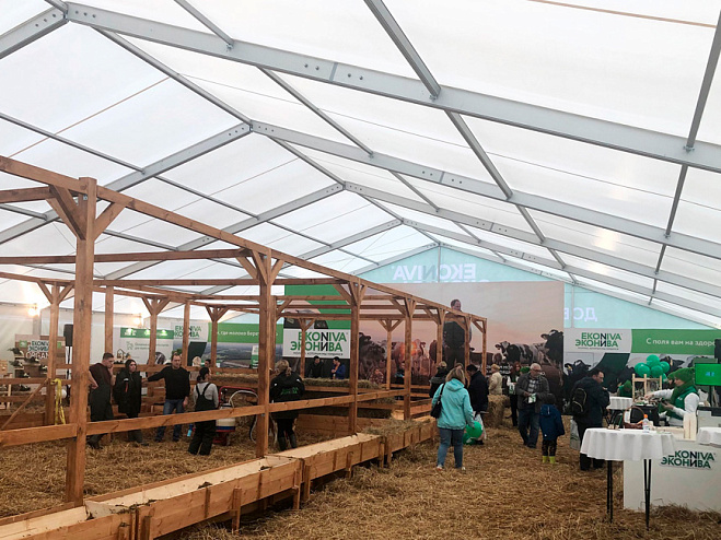 Двускатный шатер 20х30